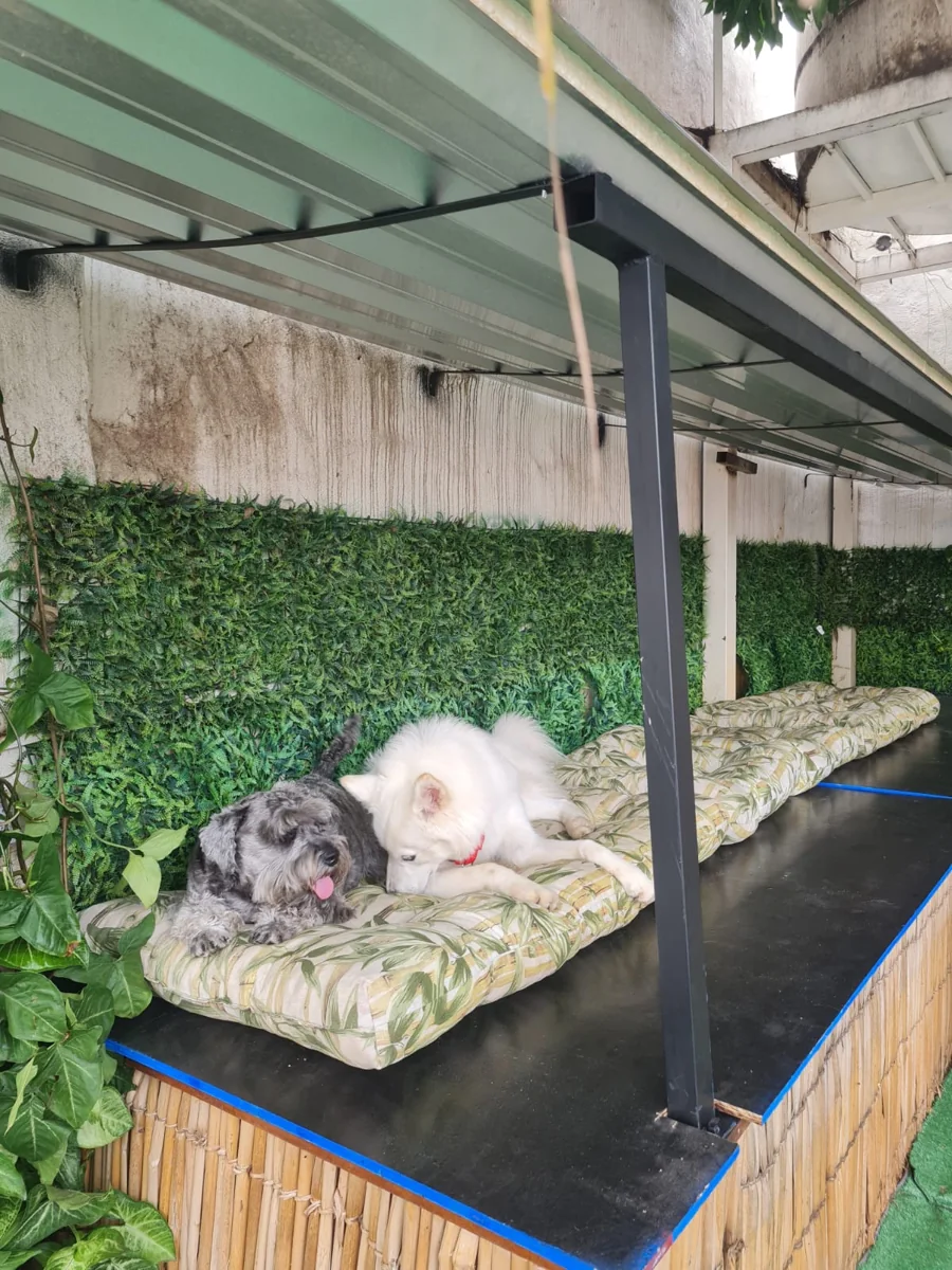 Cão descansando no espaço da Chita Bakana