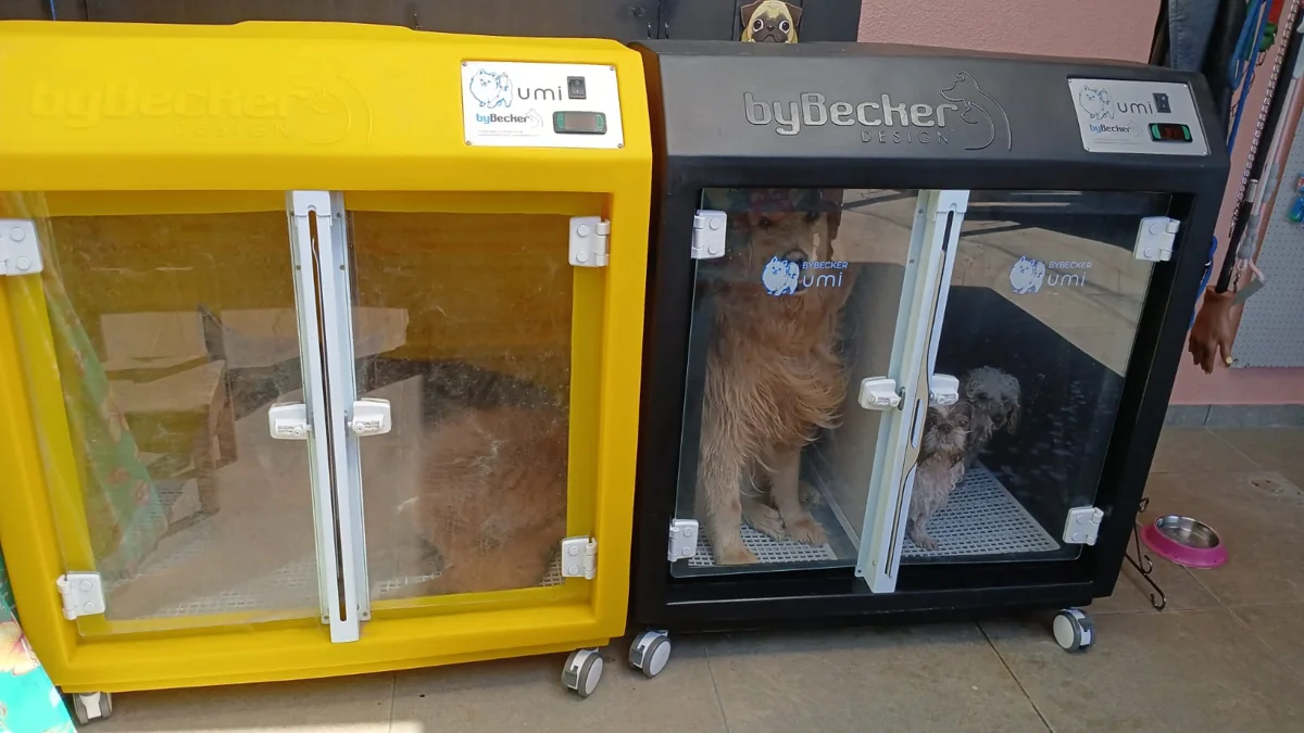 Equipamentos de secagem para pets da Chita Bakana