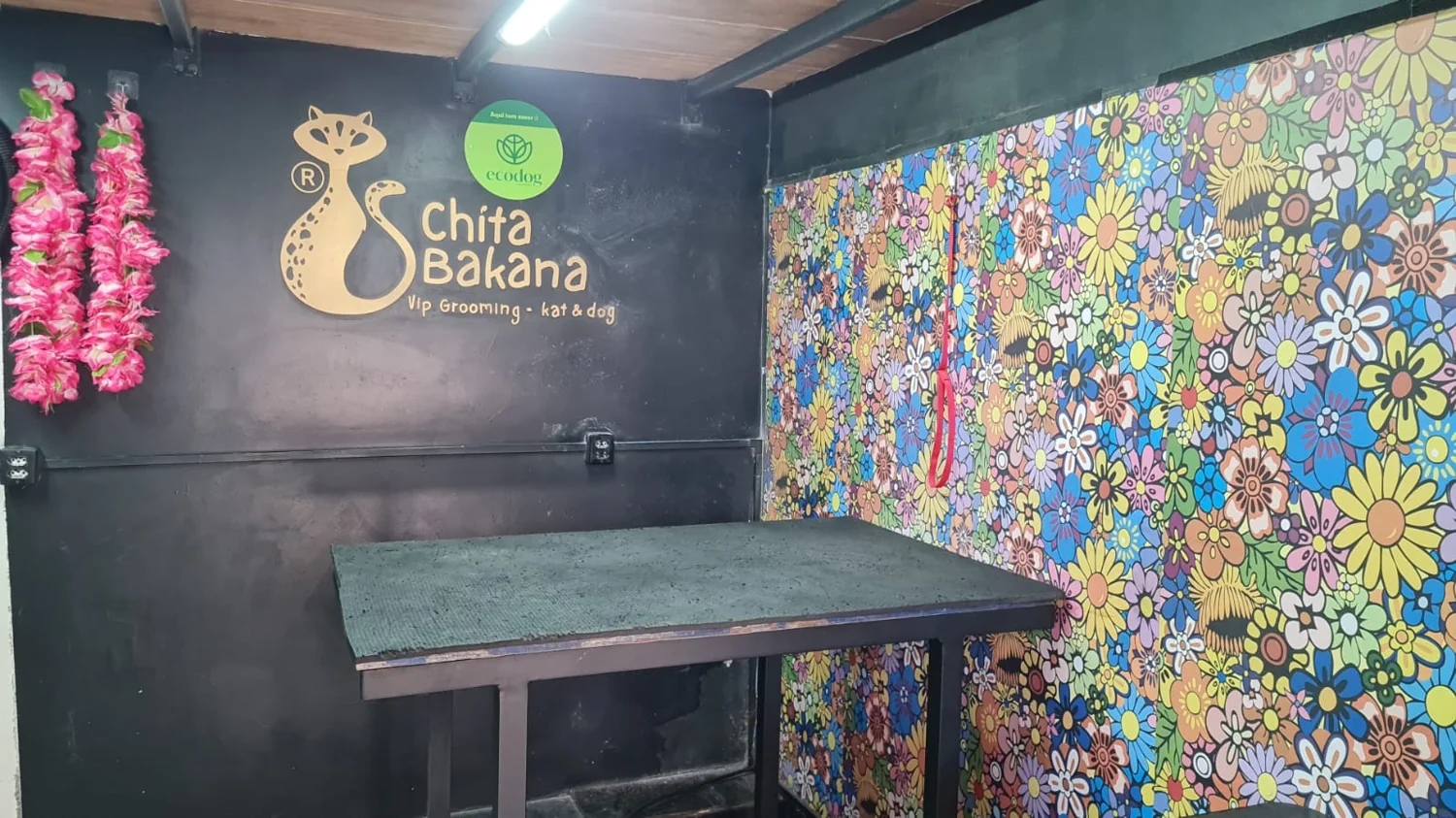 Área interna colorida da Chita Bakana