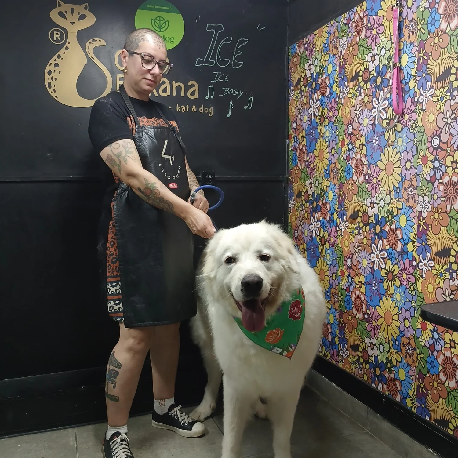 Cão de grande porte recebendo cuidados na Chita Bakana